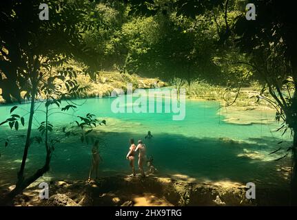 I turisti si godono le splendide piscine di Semuc Champey, Rio Cabohon, Lanquin, alta Verapaz, Guatemala Foto Stock