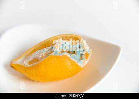 Tagliare il limone su un piatto bianco con la muffa, rovinato. Foto Stock