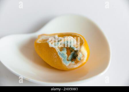 Tagliare il limone su un piatto bianco con la muffa, rovinato. Foto Stock