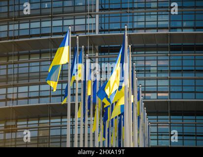 La vista frontale della bandiera Ucraina vola accanto alla bandiera d'Europa di fronte agli uffici del Parlamento mentre la Russia continua il suo assalto alle principali città ucraine una settimana dopo aver lanciato un'invasione su larga scala del paese Foto Stock