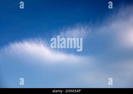 Nuvola di cirrus bianca e fuzzy nel cielo blu Foto Stock