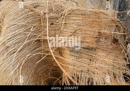 Tessuto in fibra di Palm Bark Foto Stock