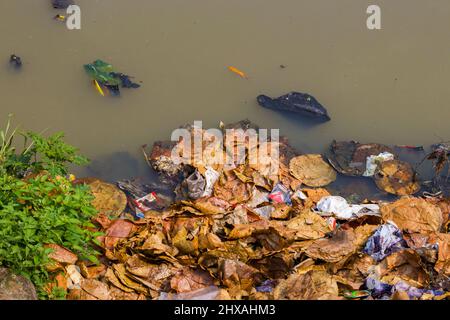 immagine inquinamento fluviale. salvare acqua fluviale forma inquinamento. Foto Stock