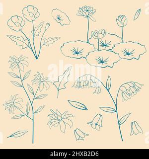 Papavero Lily Tiger Flower Floral Leaf Outline elemento decorativo Illustrazione Vettoriale