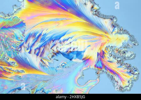 I cristalli di un comune antidolorifico paracetamolo. Immagine al microscopio, fotografato in luce polarizzata. Foto Stock