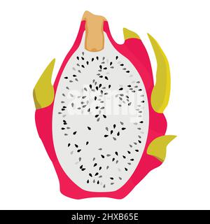 Deliziosa fetta di pitahaya drago frutta isolato su sfondo bianco. Vettore Illustrazione Vettoriale