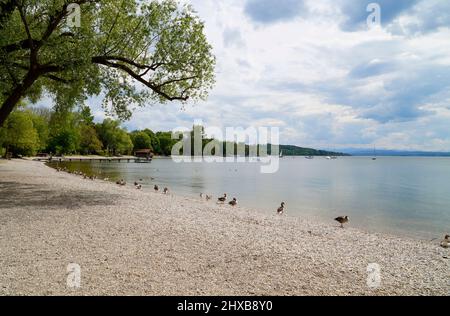 Un lungo molo di legno a Herrsching sul lago Ammersee in Baviera (Germania) Foto Stock