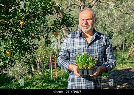 Giardiniere che tiene vasi di piantine con giovani piantine di lattuga. Orticoltura sostenibile. Giardinaggio Hobby. Concetto di cibo biologico sano. Primo piano. Foto Stock