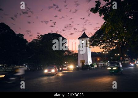 Gregge di uccelli sul cielo sopra la città al crepuscolo. Traffico intorno alla torre dell'orologio in strada a Kandy, Sri Lanka. Foto Stock