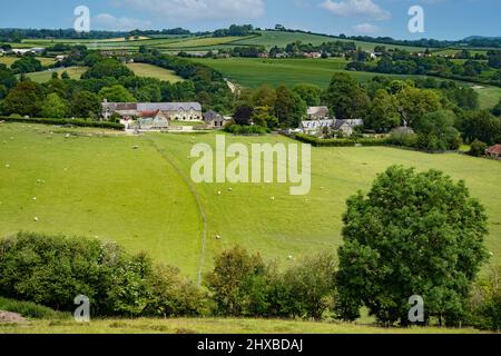 guardando verso ovest melbury nel dorset inghilterra dalla cima della collina sparsa aquila. Foto Stock