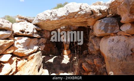 Questa foto è stata scattata nel villaggio talayotico chiamato Torre d'en Galmés, Minorca, Isole Baleari, Spagna. Foto Stock