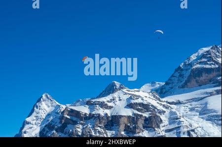 Parapendio di fronte alle famose montagne svizzere Eiger, Mönch e Jungfrau Foto Stock