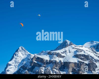 Parapendio di fronte alle famose montagne svizzere Eiger, Mönch e Jungfrau Foto Stock