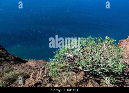 Il bellissimo paesaggio montano di la Gomera a piedi dal villaggio di Arure al punto di vista Riscos de la Merica vicino Valle Gran Rey Foto Stock