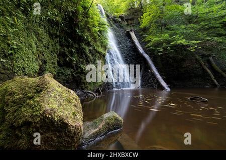 Grande cascata che si tuffa in una tranquilla piscina vicino whitby. Cascata foss cadente, Yorkshire Dales. Ritratto a cascata Foto Stock