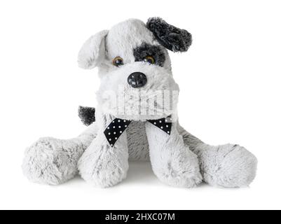 Peluche cane giocattolo su sfondo bianco isolato Foto Stock