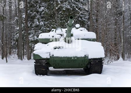 Una cisterna dissimulata sotto la neve corre tra gli alberi nella foresta. Foto Stock