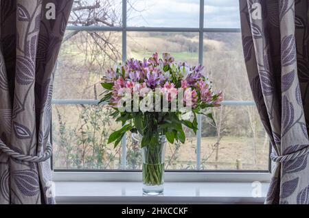 Un grande vaso di alstroemerias su una davanzale della finestra. Attraverso la finestra ci sono viste lunghe e distanti. Foto Stock