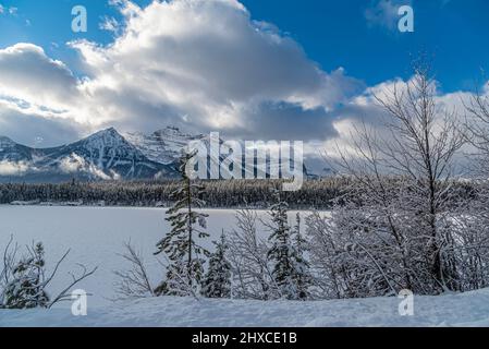 Vista di Banff e Jasper Park lungo la Icefields Pkwy in inverno Foto Stock