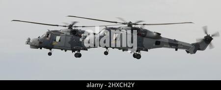 AgustaWestland AW159 Wildcat Foto Stock