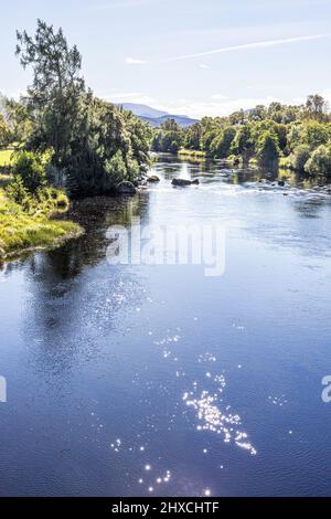 Il famoso fiume Spey a Boat of Garten Highland, Scozia Regno Unito. Foto Stock