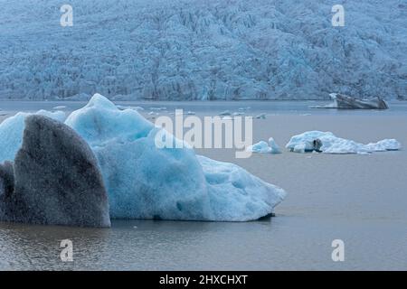 Ghiacciai galleggianti nel lago glaciale Fjallsarlon, Parco Nazionale Vatnajokull, Islanda Foto Stock