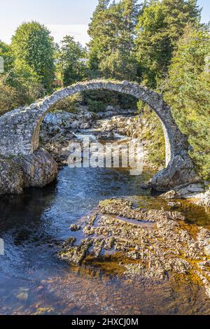 I resti dell'Old Packhorse Bridge costruito nel 1717 sul fiume Dulnain nel villaggio di Carrbridge, Highland, Scozia Regno Unito. Foto Stock
