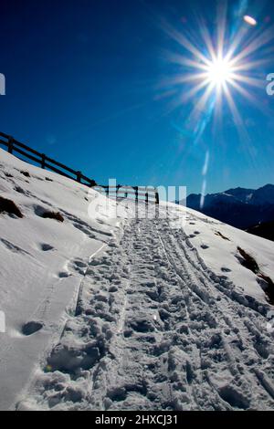 Escursione invernale al Wang Alm 1751m nel Gaistal, Austria, Tirolo, vacanza, inverno, sentiero escursionistico, recinzione, sole, Foto Stock