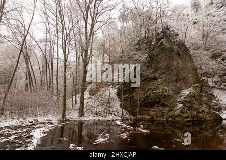 Freital, neve nella valle 'Rabenauer Grund', roccia nel fiume 'Rote Weißeritz', Monti Erzgebirge / ore, Sachsen, Sassonia, Germania Foto Stock