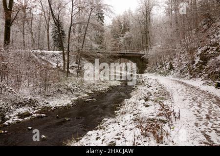 Freital, valle 'Rabenauer Grund', fiume 'Rote Weißeritz', ponte di Weißeritztalbahn (Weisseritz Valley Railway), neve, Monti Erzgebirge / ore, Sachsen, Sassonia, Germania Foto Stock