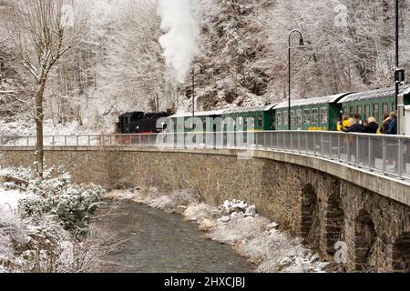 Rabenau, neve nella valle 'Rabenauer Grund', fiume 'Rote Weißeritz', treno a vapore a scartamento ridotto di Weißeritztalbahn (Weisseritz Valley Railway) alla stazione Rabenau, Erzgebirge / Ore Mountains, Sachsen, Sassonia, Germania Foto Stock