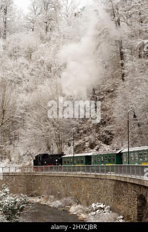 Rabenau, neve nella valle 'Rabenauer Grund', fiume 'Rote Weißeritz', treno a vapore a scartamento ridotto di Weißeritztalbahn (Weisseritz Valley Railway) alla stazione Rabenau, Erzgebirge / Ore Mountains, Sachsen, Sassonia, Germania Foto Stock