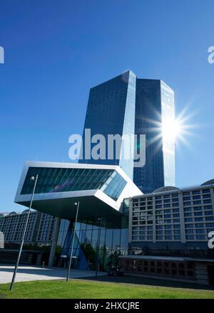 Germania, Assia, Francoforte, Banca Centrale europea, BCE Tower Foto Stock