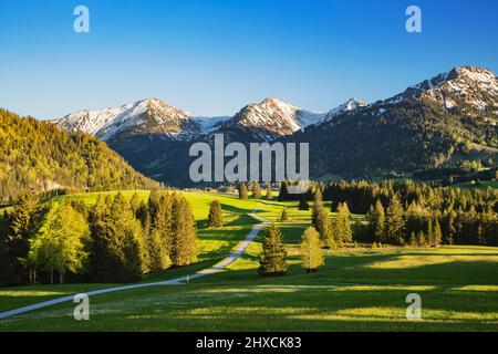 Tramonto sulle Alpi di Allgäu in una soleggiata giornata primaverile. Vista sulla valle di Tannheimer con Rohnenspitze e Ponten. Prati verdi, foreste e montagne innevate. Baviera, Germania, zona di confine Tirolo, Austria, Europa Foto Stock