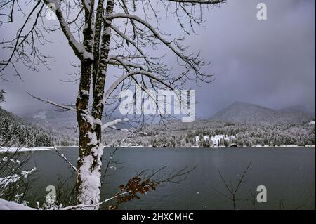 Paesaggio bavarese in inverno, lago Walchensee ai piedi delle Alpi, montagne Karwendel, litorale Foto Stock