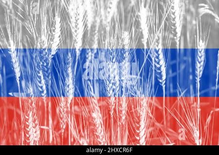 Aumento del prezzo del grano in Russia con bandiera come concetto. Foto Stock