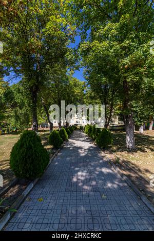 Passerella in un parco con un tunnel di alberi e cespugli che creano una bella ombra dal sole Foto Stock