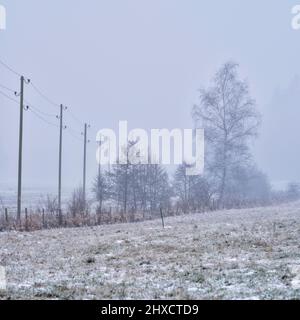 Nebbia, prati, alberi, recinzione, palo di recinzione, pali di recinzione, linea elettrica, pali di legno, atmosfera autunnale Foto Stock