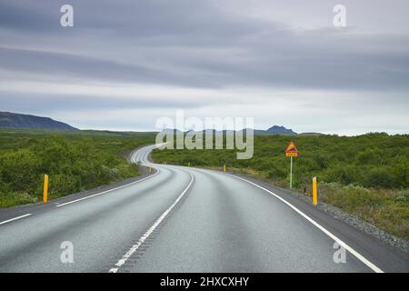 Straße, Estate, Pingvallavegur, Parco Nazionale di Thingvellir, SuÃ°urland, Sudurland, Islanda Foto Stock