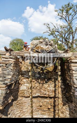 Un coltivatore attira acqua da un pozzo da una ruota girata da giovenchi per irrigazione, Kumbhalgarh, Aravalli Hills, Rajsamand distretto, Udaipur, Rajasthan Foto Stock