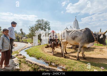 Un coltivatore attira acqua da un pozzo da una ruota girata da giovenchi per irrigazione, Kumbhalgarh, Aravalli Hills, Rajsamand distretto, Udaipur, Rajasthan Foto Stock
