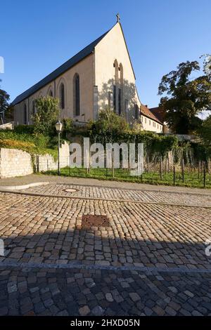 Chiesa del monastero francescano di Zeitz, Burgenlandkreis, Sassonia-Anhalt, Germania Foto Stock