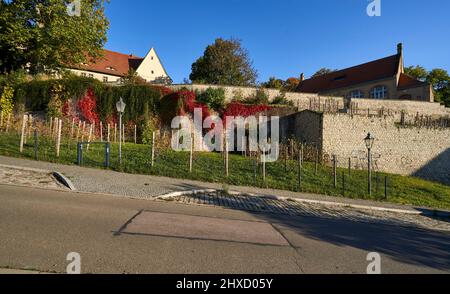 Chiesa del monastero francescano di Zeitz, Burgenlandkreis, Sassonia-Anhalt, Germania Foto Stock