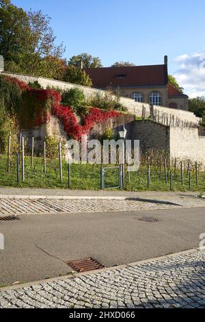 Chiesa del monastero francescano di Zeitz, Burgenlandkreis, Sassonia-Anhalt, Germania Foto Stock