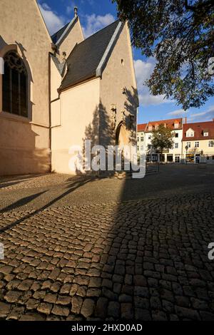 Michaeliskirche Zeitz, Burgenlandkreis, Sassonia-Anhalt, Germania Foto Stock