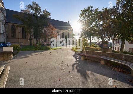 Chiesa del monastero francescano di Zeitz, Burgenlandkreis, Sassonia-Anhalt, Germania Foto Stock