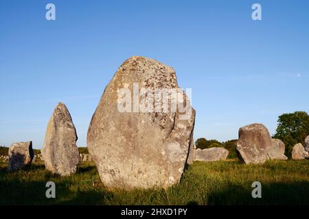 Megaliti, Alignements du Menec, Alignements of Carnac, le Menec, Dipartimento di Morbihan, Bretagna, Francia Foto Stock