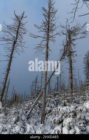 Brocken in inverno, Harz Mountains Foto Stock