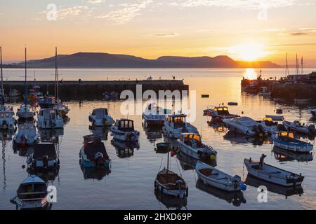 Inghilterra, Dorset, Lyme Regis, il porto all'alba Foto Stock
