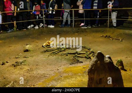 I turisti nella caverna dell'orso pestera ursilor a chiscau in romania Foto Stock